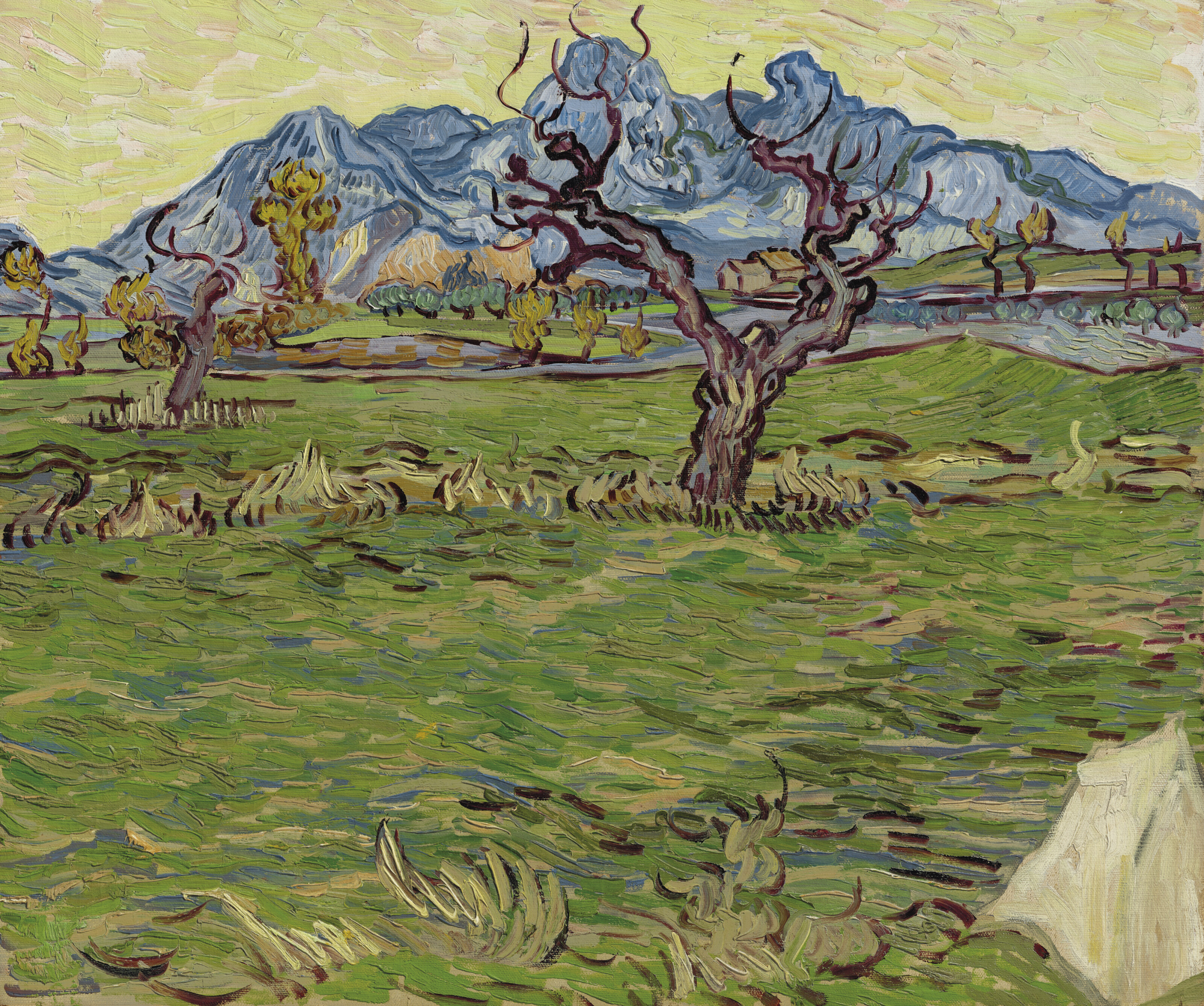Van Gogh Masterpiece Champs près des Alpilles to lead Christie’s New York 20th Century Evening Sale 